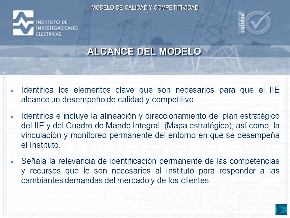 ALCANCE DEL MODELO Identifica los elementos clave que son necesarios para que el IIE alcance un desempeño de calidad y competitivo.