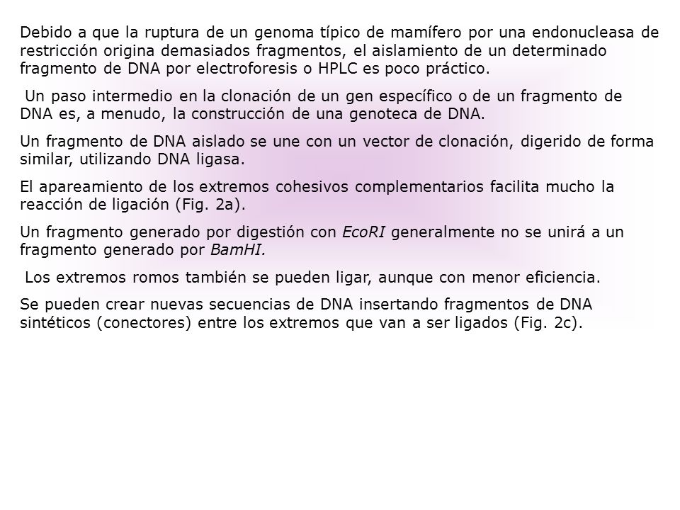 Debido a que la ruptura de un genoma típico de mamífero por una endonucleasa de restricción origina demasiados fragmentos, el aislamiento de un determinado fragmento de DNA por electroforesis o HPLC es poco práctico.