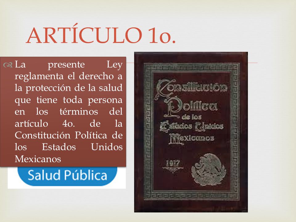 ARTÍCULO 1o.