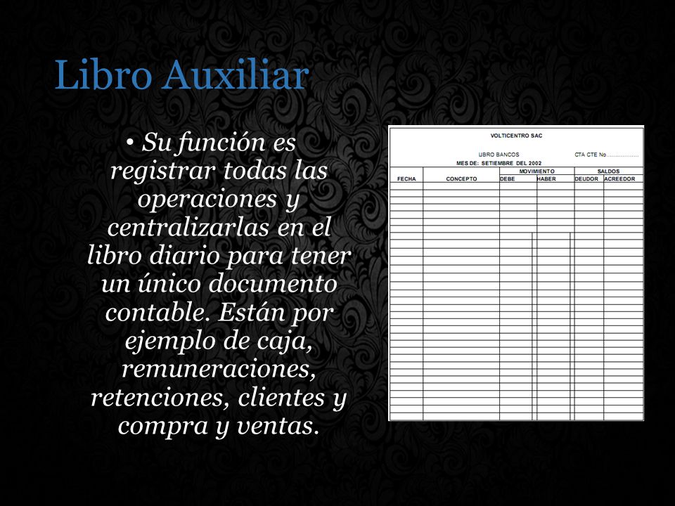 Libro Auxiliar