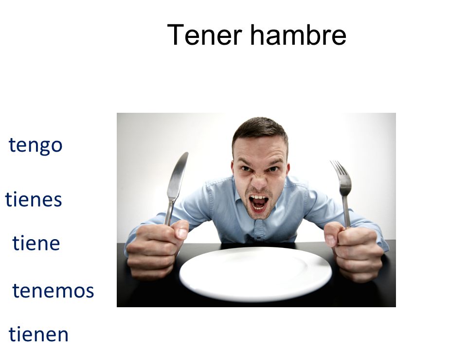 Tener hambre tengo tienes tiene tenemos tienen