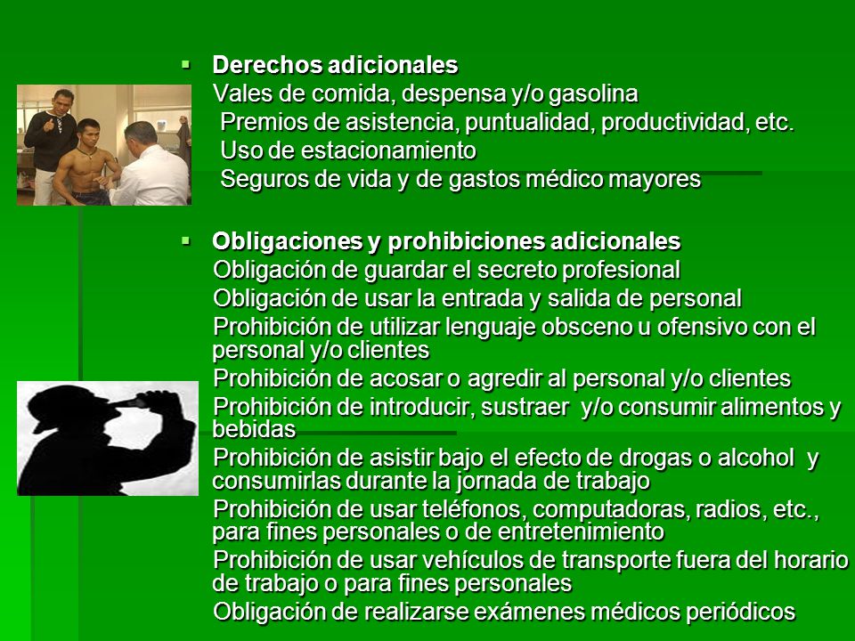 Derechos adicionales Vales de comida, despensa y/o gasolina. Premios de asistencia, puntualidad, productividad, etc.