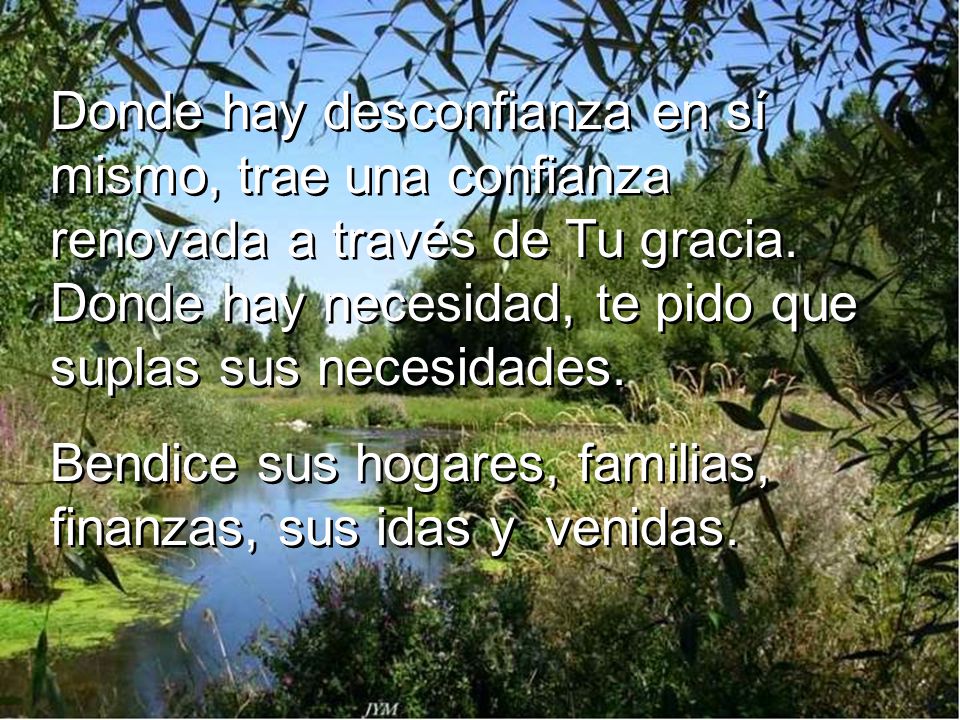 Donde hay desconfianza en sí mismo, trae una confianza renovada a través de Tu gracia. Donde hay necesidad, te pido que suplas sus necesidades.