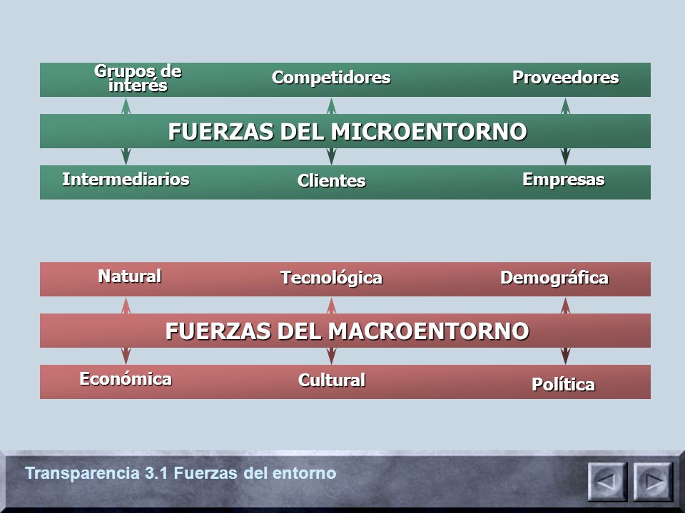 FUERZAS DEL MICROENTORNO FUERZAS DEL MACROENTORNO