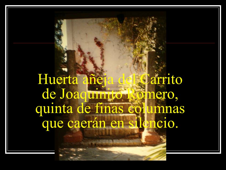 Huerta añeja del Carrito de Joaquinito Romero, quinta de finas columnas que caerán en silencio.