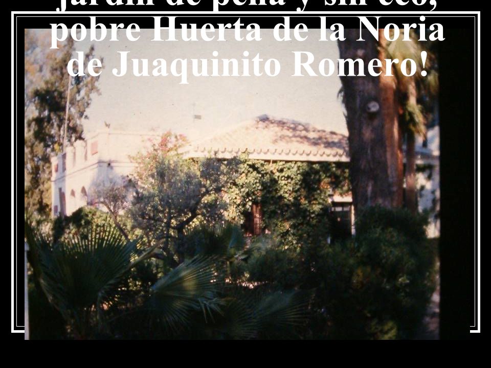 ¡Jardín de nombre y olvido, jardín de pena y sin eco, pobre Huerta de la Noria de Juaquinito Romero!
