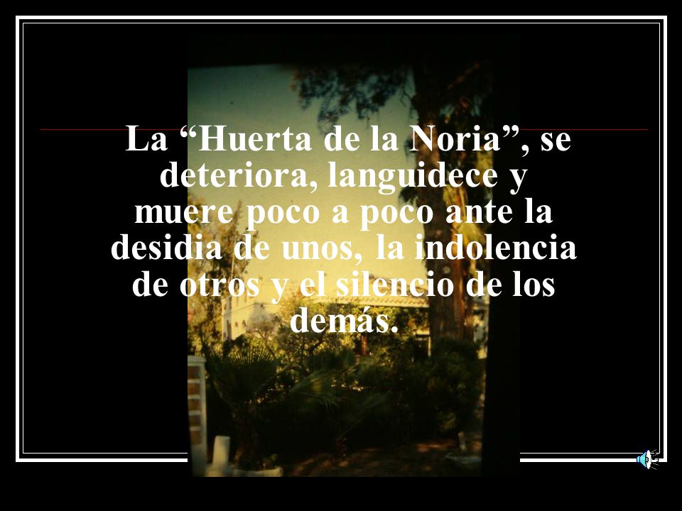 La Huerta de la Noria , se deteriora, languidece y muere poco a poco ante la desidia de unos, la indolencia de otros y el silencio de los demás.