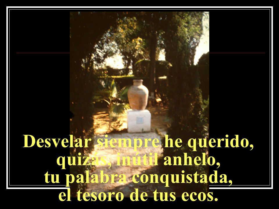 Desvelar siempre he querido, quizás, inútil anhelo, tu palabra conquistada, el tesoro de tus ecos.