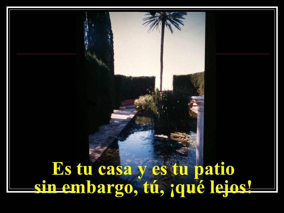 Es tu casa y es tu patio sin embargo, tú, ¡qué lejos!