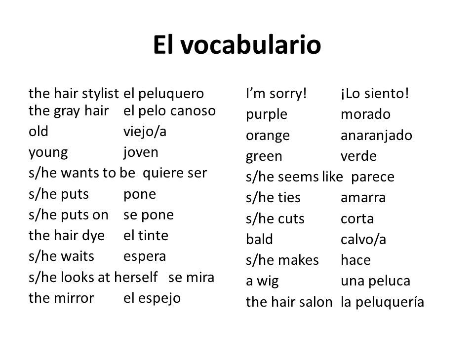El vocabulario