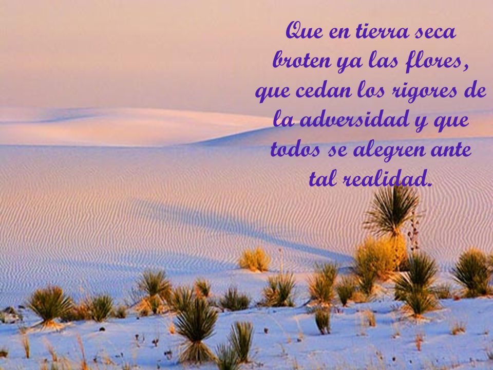 Que en tierra seca broten ya las flores, que cedan los rigores de la adversidad y que todos se alegren ante tal realidad.