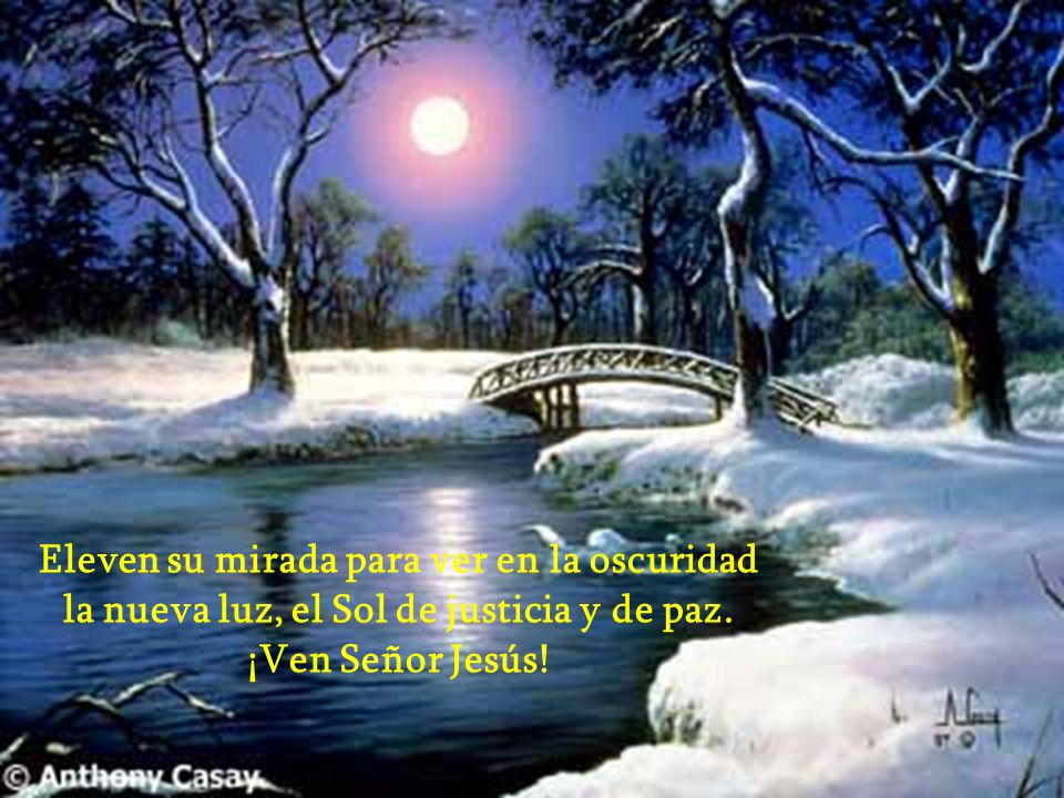 Eleven su mirada para ver en la oscuridad la nueva luz, el Sol de justicia y de paz.