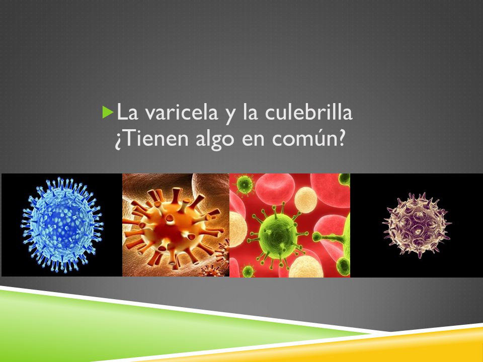 La varicela y la culebrilla ¿Tienen algo en común