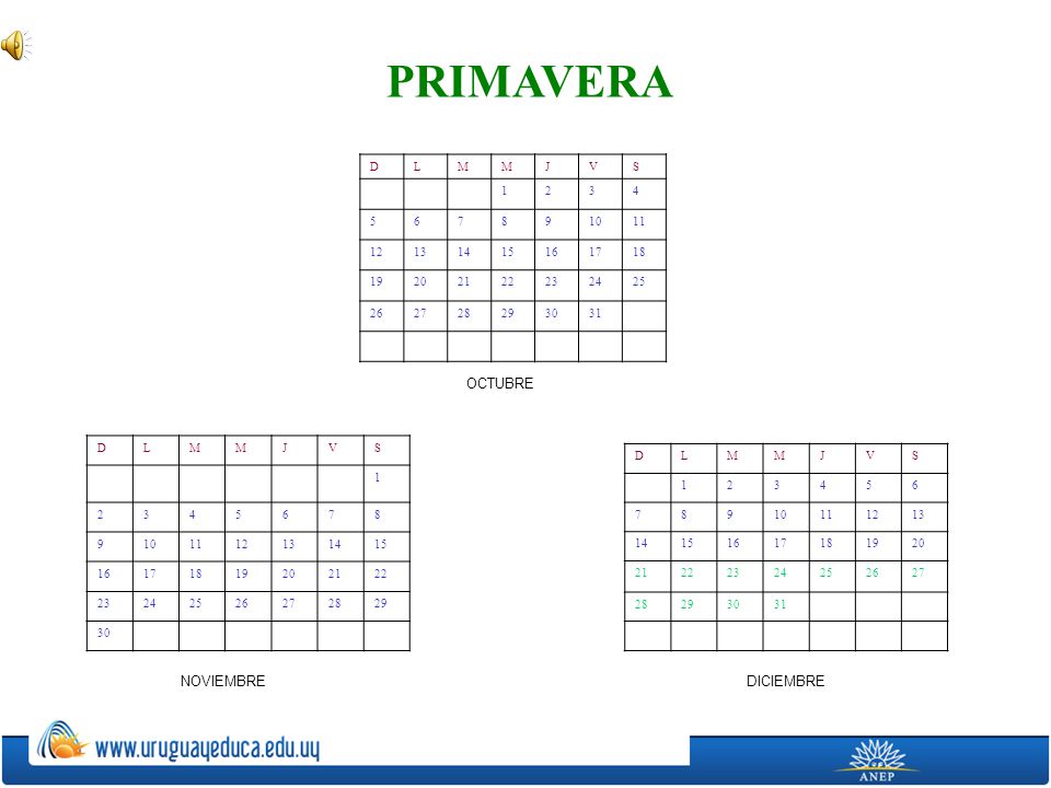 PRIMAVERA OCTUBRE NOVIEMBRE DICIEMBRE D L M J V S