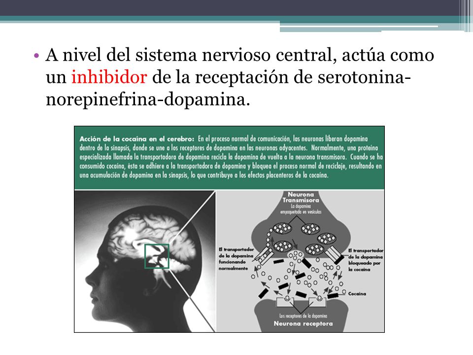A nivel del sistema nervioso central, actúa como un inhibidor de la receptación de serotonina- norepinefrina-dopamina.
