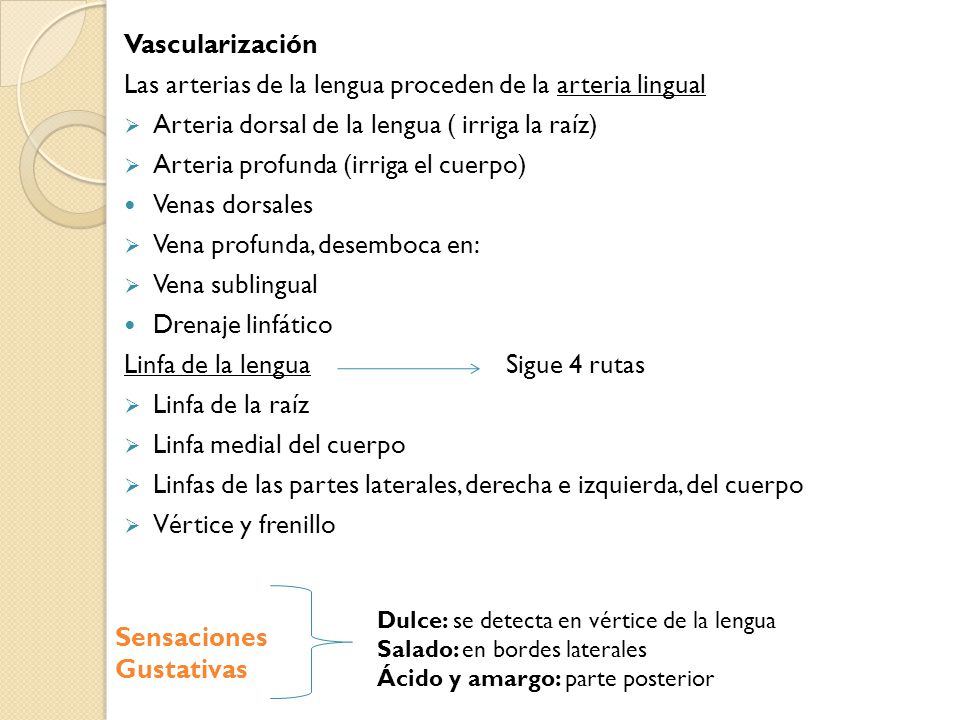 Las arterias de la lengua proceden de la arteria lingual