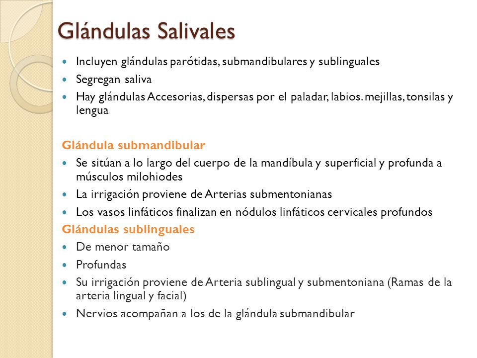 Glándulas Salivales Incluyen glándulas parótidas, submandibulares y sublinguales. Segregan saliva.