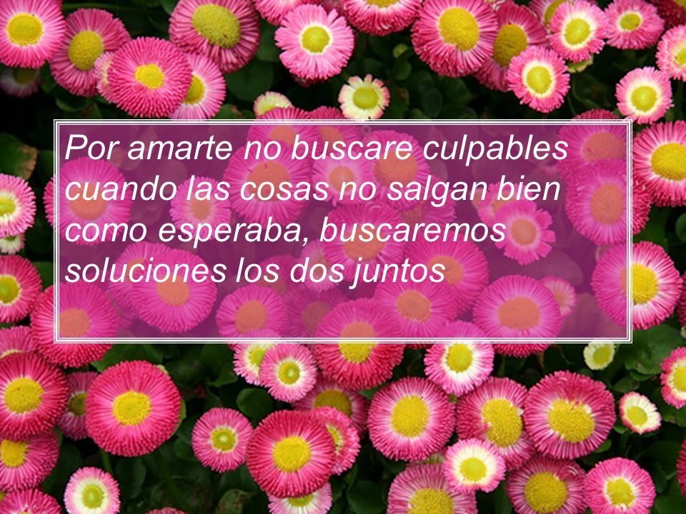 Por amarte no buscare culpables cuando las cosas no salgan bien como esperaba, buscaremos soluciones los dos juntos