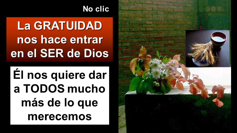 La GRATUIDAD nos hace entrar en el SER de Dios