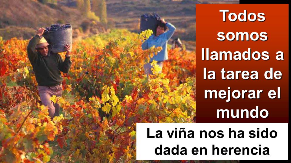 Todos somos llamados a la tarea de mejorar el mundo