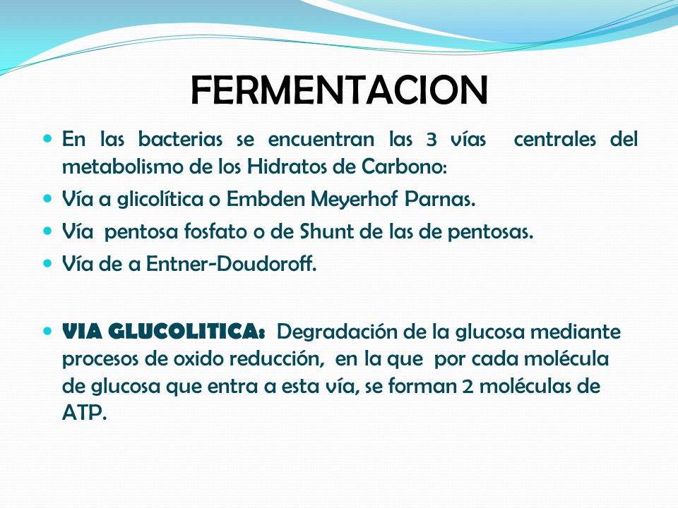 FERMENTACION En las bacterias se encuentran las 3 vías centrales del metabolismo de los Hidratos de Carbono: