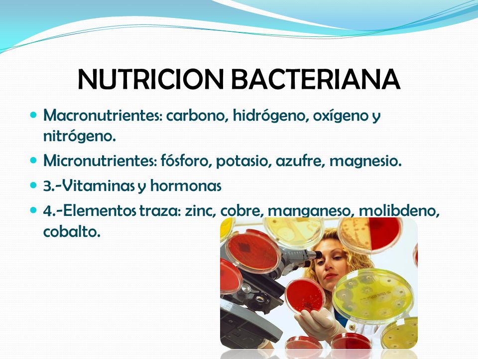 NUTRICION BACTERIANA Macronutrientes: carbono, hidrógeno, oxígeno y nitrógeno. Micronutrientes: fósforo, potasio, azufre, magnesio.