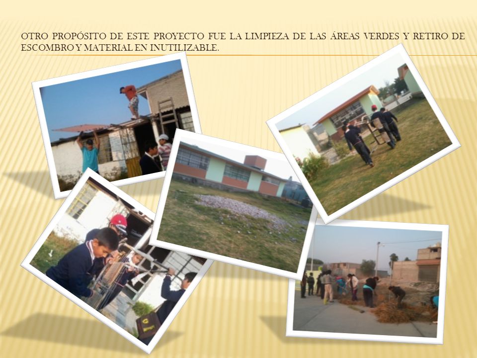 otro propósito de este proyecto fue la limpieza de las áreas verdes y retiro de escombro y material en inutilizable.