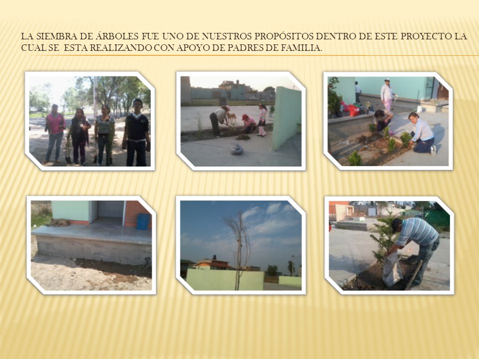 La siembra de árboles fue uno de nuestros propósitos dentro de este proyecto la cual se esta realizando con apoyo de padres de familia.
