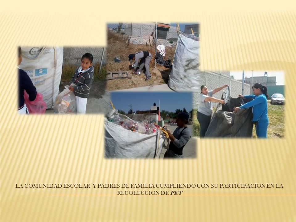La comunidad escolar y padres de familia cumpliendo con su participación en la recolección de pet