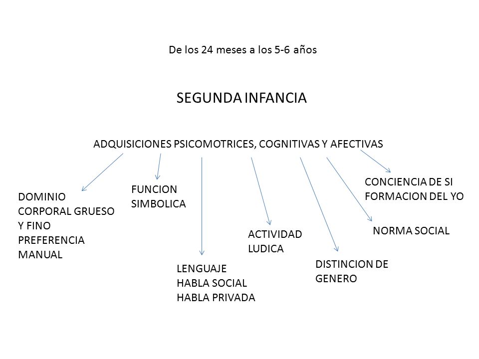SEGUNDA INFANCIA De los 24 meses a los 5-6 años