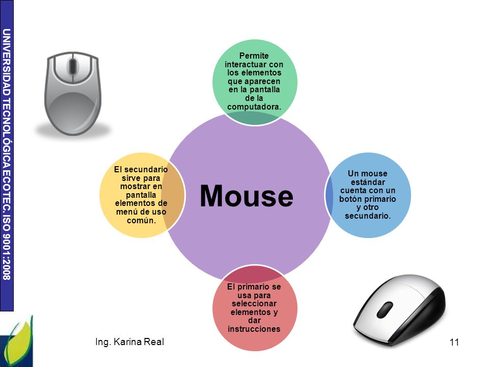 Mouse Permite interactuar con los elementos que aparecen en la pantalla de la computadora.