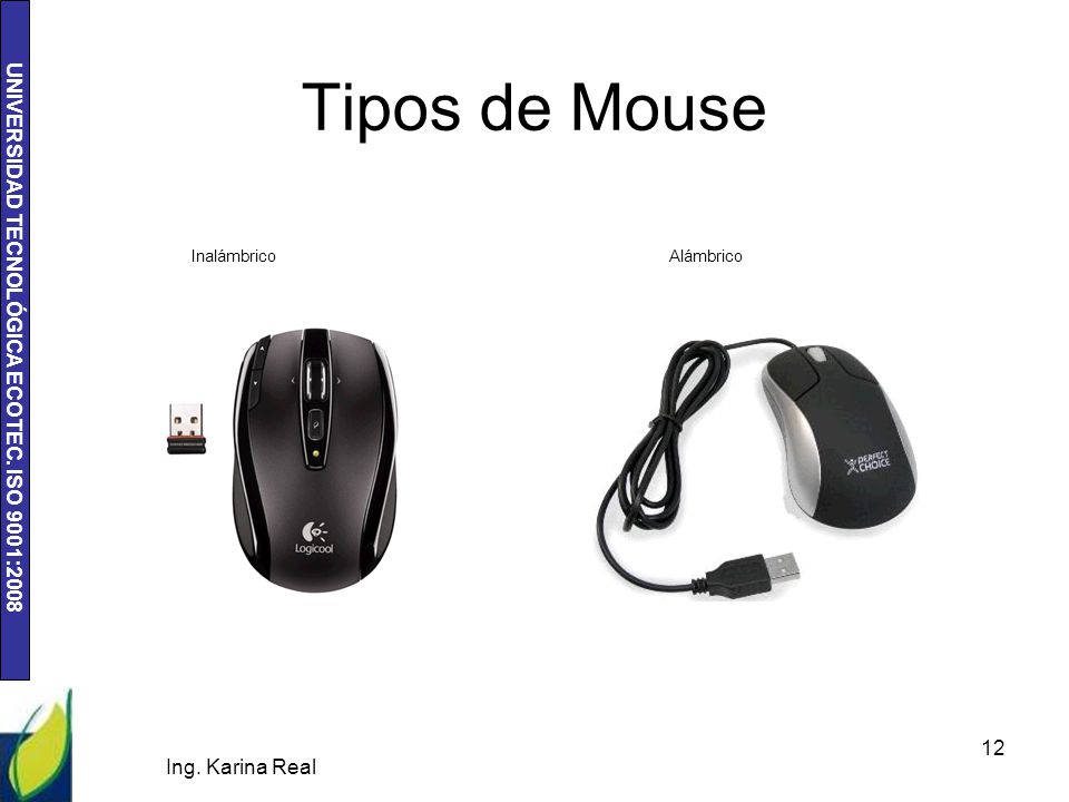 Tipos de Mouse Inalámbrico Alámbrico Ing. Karina Real