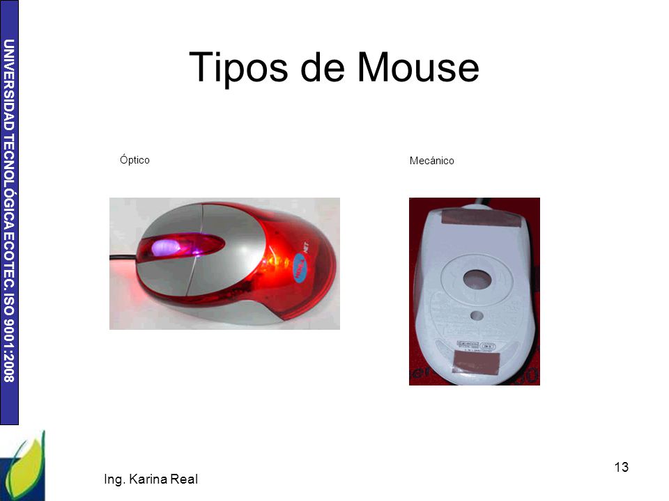 Tipos de Mouse Óptico Mecánico Ing. Karina Real