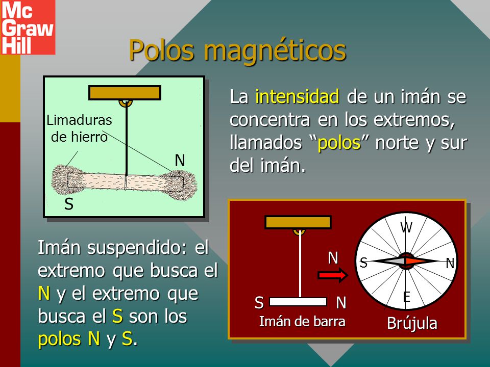 Polos magnéticos S. N. Limaduras de hierro. La intensidad de un imán se concentra en los extremos, llamados polos norte y sur del imán.