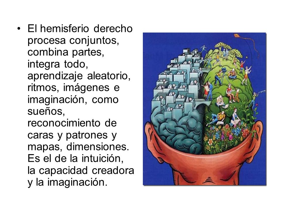 El hemisferio derecho procesa conjuntos, combina partes, integra todo, aprendizaje aleatorio, ritmos, imágenes e imaginación, como sueños, reconocimiento de caras y patrones y mapas, dimensiones.