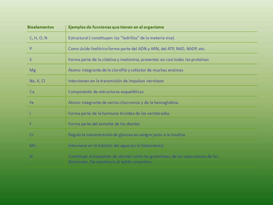 Bioelementos Ejemplos de funciones que tienen en el organismo. C, H, O, N. Estructural ( constituyen los ladrillos de la materia viva)