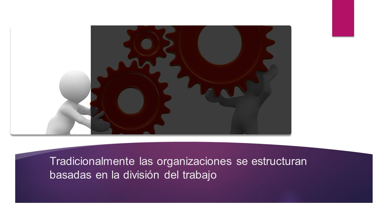 Tradicionalmente las organizaciones se estructuran basadas en la división del trabajo