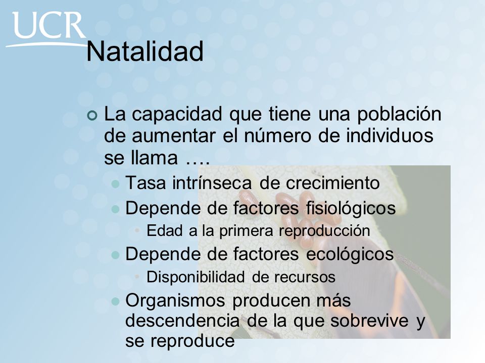 Natalidad La capacidad que tiene una población de aumentar el número de individuos se llama …. Tasa intrínseca de crecimiento.