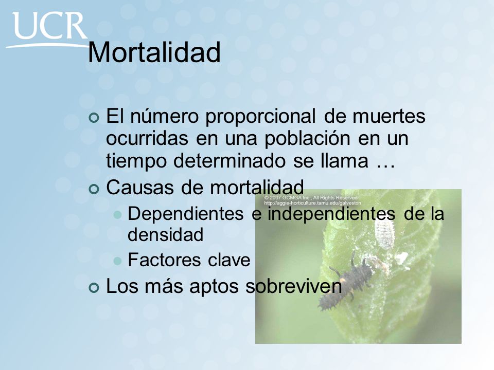 Mortalidad El número proporcional de muertes ocurridas en una población en un tiempo determinado se llama …