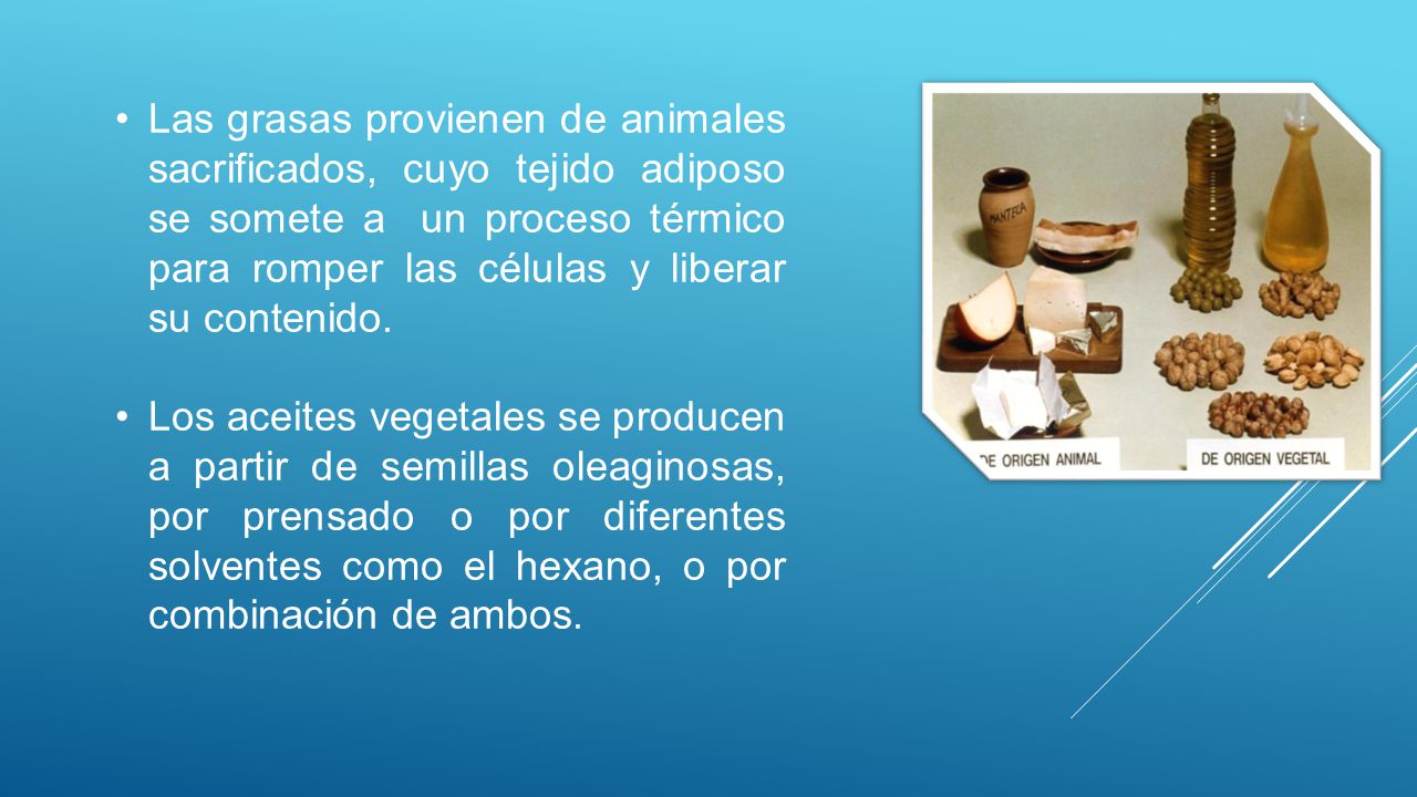 Las grasas provienen de animales sacrificados, cuyo tejido adiposo se somete a un proceso térmico para romper las células y liberar su contenido.