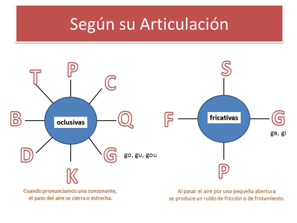 P S T C B Q F G D G P K Según su Articulación fricativas oclusivas