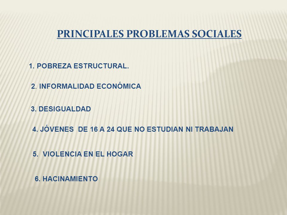 PRINCIPALES PROBLEMAS SOCIALES