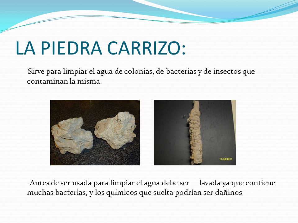 LA PIEDRA CARRIZO: Sirve para limpiar el agua de colonias, de bacterias y de insectos que contaminan la misma.
