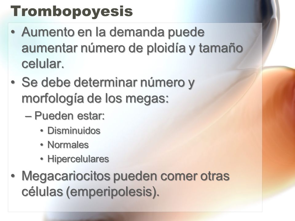 Trombopoyesis Aumento en la demanda puede aumentar número de ploidía y tamaño celular. Se debe determinar número y morfología de los megas: