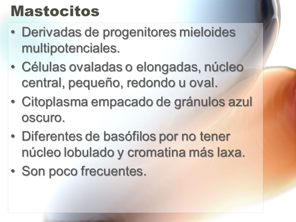 Mastocitos Derivadas de progenitores mieloides multipotenciales.