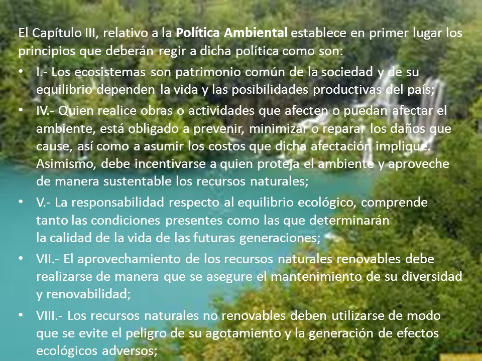El Capítulo III, relativo a la Política Ambiental establece en primer lugar los principios que deberán regir a dicha política como son: