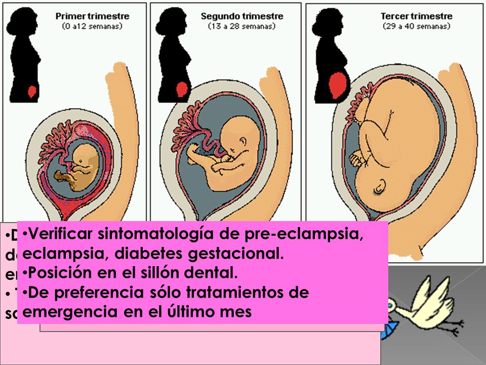 De preferencia no realizar tratamientos dentales, únicamente atención de emergencias.