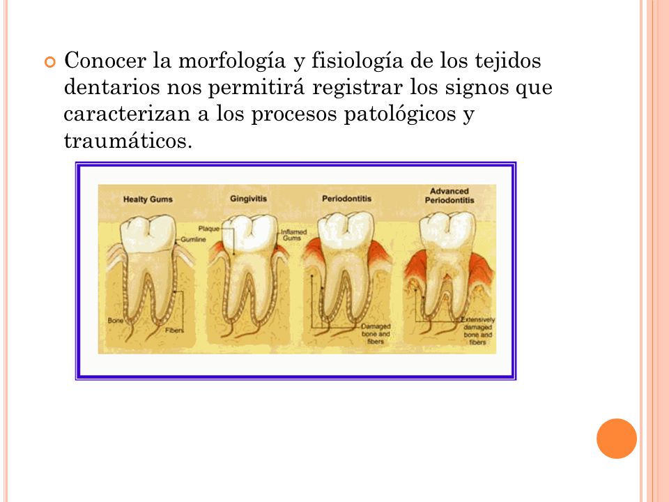 Conocer la morfología y fisiología de los tejidos dentarios nos permitirá registrar los signos que caracterizan a los procesos patológicos y traumáticos.