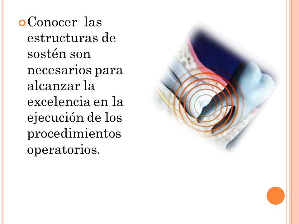 Conocer las estructuras de sostén son necesarios para alcanzar la excelencia en la ejecución de los procedimientos operatorios.