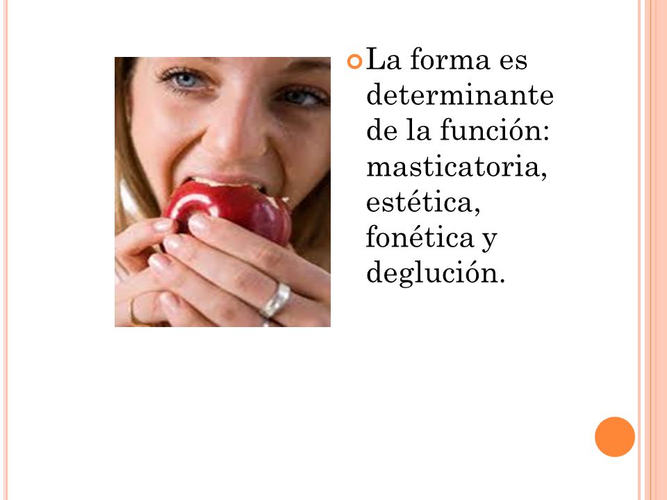La forma es determinante de la función: masticatoria, estética, fonética y deglución.